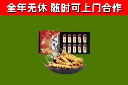 乌鲁木齐回收冬虫夏草价格